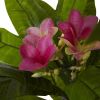 Plumeria Tree UV Resistant w/88 Lvs (Indoor/Outdoor)