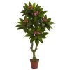 Plumeria Tree UV Resistant w/88 Lvs (Indoor/Outdoor)