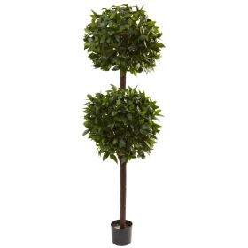 Sweet Bay Double Ball Topiary x 2 w/2025 Lvs