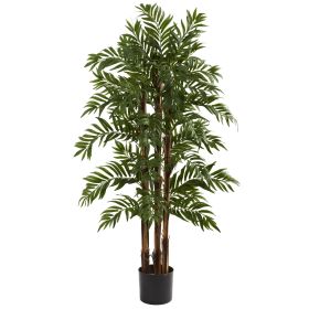Parlour Palm Tree x 3 w/803 Lvs