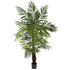 Areca Palm Tree x 13 w/602 Lvs