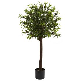 Olive Topiary Tree w/1056 Lvs
