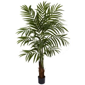 Big Palm Tree x 3 w/270 Lvs