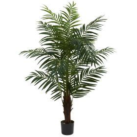 Areca Palm Tree w/486 Lvs