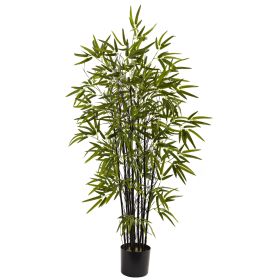 Black Bamboo Tree x 10 w/588 Lvs