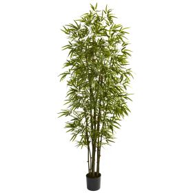 Green Bamboo Tree x 10 w/2220 Lvs
