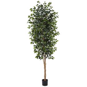 Ficus Tree x 3 w/1512 Lvs
