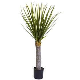 Yucca w/699 Lvs