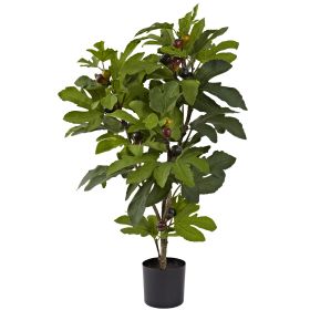 Fig Tree w/42 Lvs & 15 Fruits