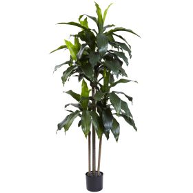 Dracaena Plant w/58 Lvs UV Resistant(Indoor/Outdoor)