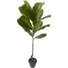 Fiddle Leaf Tree UV Resistant w/14 Lvs(Indoor/Outdoor)