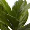 Fiddle Leaf Tree UV Resistant w/14 Lvs(Indoor/Outdoor)