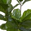 Fiddle Leaf Tree UV Resistant (Indoor/Outdoor)