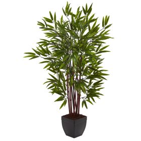 Bamboo Tree x 10 w/Planter
