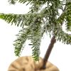 ICE WELL CONE PINE TOP