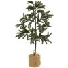 ICE WELL CONE PINE TOP