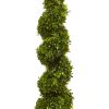 Boxwood Spiral Topiary with Planter (Indoor/Outdoor)