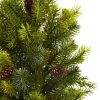 Pine & Pine Cone Tree