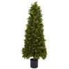 Pine & Pine Cone Tree