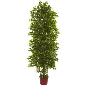 4 Tier Mini Ficus w/3105 L UV Resistant (Indoor/Outdoor)