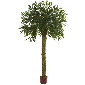 Prikly Palm UV Resistant (Indoor/Outdoor)