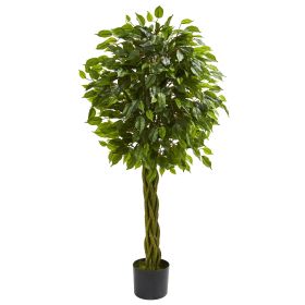 Ficus Tree with Braided Trunk UV Resist (Indoor/Outdoor)