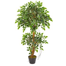 Variegated Ficus Artificial Tree