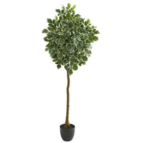 Variegated Aralia Artificial Tree
