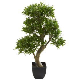 Podocarpus Artificial Bonsai Tree