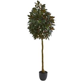 Capensia Ficus Artificial Tree