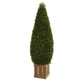 Boxwood Cone Topiary Tree with Decorative Planter