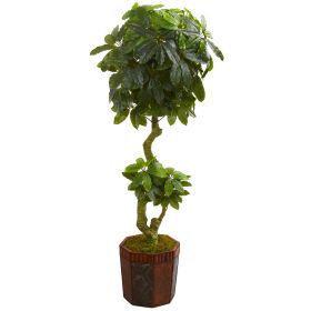 Schefflera Artificial Tree in Bamboo Planter