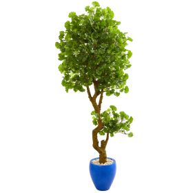 Jingo Tree in Blue Planter UV Resistant (Indoor/Outdoor)
