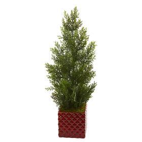 Mini Cedar Pine Tree in Red Planter (Indoor/Outdoor)