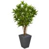 Dracaena Artificial Tree in Slate Finished Planter