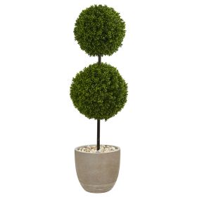 Boxwood Topiary Tree in Pot UV Resist (Indoor/Outdoor)