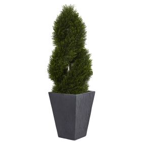 Cypress Tree in Slate Planter UV Res (Indoor/Outdoor)