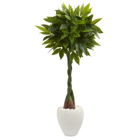Money Artificial Tree in White Oval Planter (Real Touch)