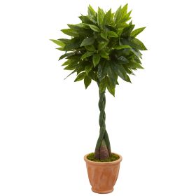 Money Artificial Tree in Terracotta Planter (Real Touch)