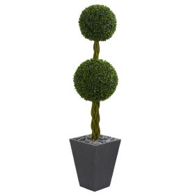Double Boxwood in Slate Planter UV (Indoor/Outdoor)
