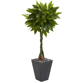 Money Artificial Tree in Slate Planter (Real Touch)
