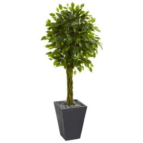 Braided Ficus Tree in Planter UV Resist(Indoor/Outdoor)