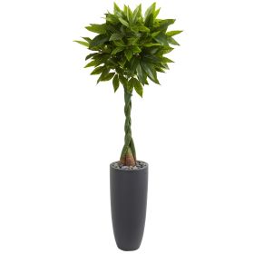 Money Artificial Tree in Cylinder Planter (Real Touch)
