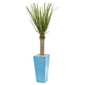 Yucca Artificial Tree in Turquoise Planter