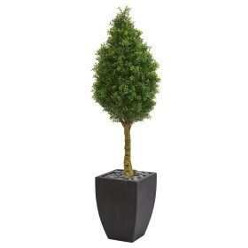 Boxwood Cone Tree in Planter UV Resist (Indoor/Outdoor)