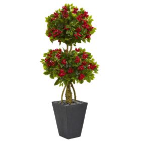 Double Bougainvillea Topiary Tree in Slate Planter