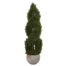 Pond Cypress Tree in Planter UV Res (Indoor/Outdoor)