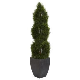Pond Cypress Tree in Planter UV Res(Indoor/Outdoor)
