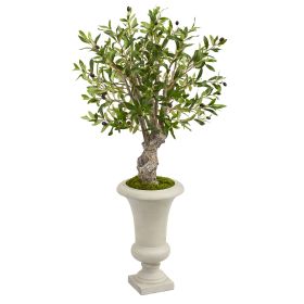Olive Artificial Tree in Urn