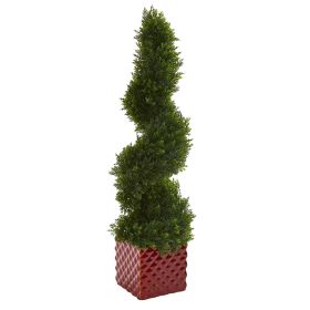 Cedar Spiral Tree in Red Ceramic Cube (Indoor/Outdoor)